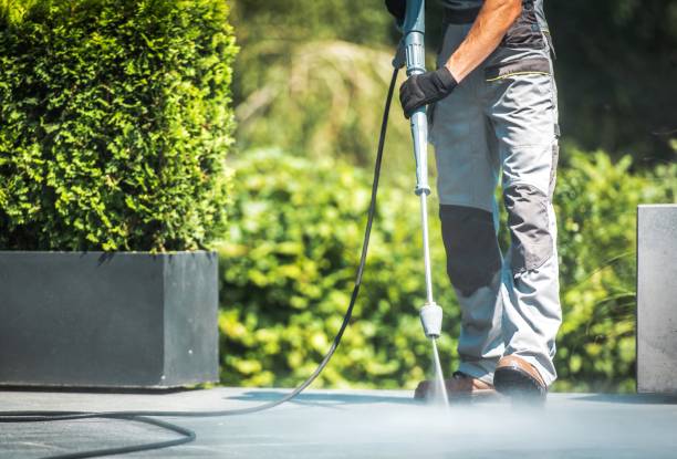 Best Rust Removal  in Reading, MI