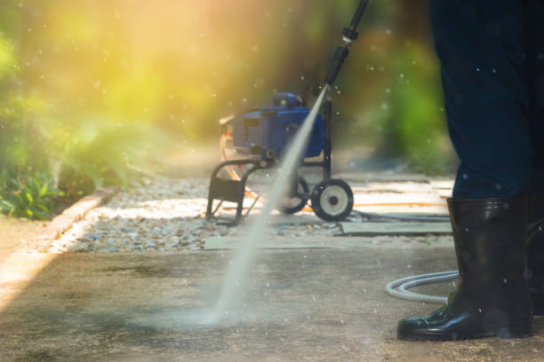 Best Warehouse Cleaning  in Reading, MI